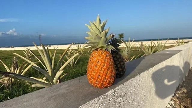 Mountain Beach View, Apartments In Sandhills Hellshire Braeton